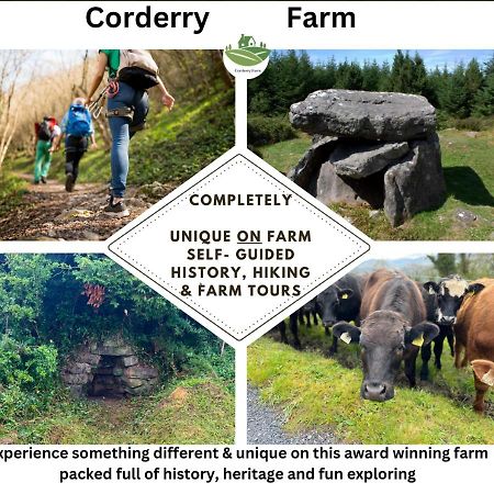 Corderry Farmhouse, Idyllic Cottage Amid 250 Acres Lisvernane 외부 사진