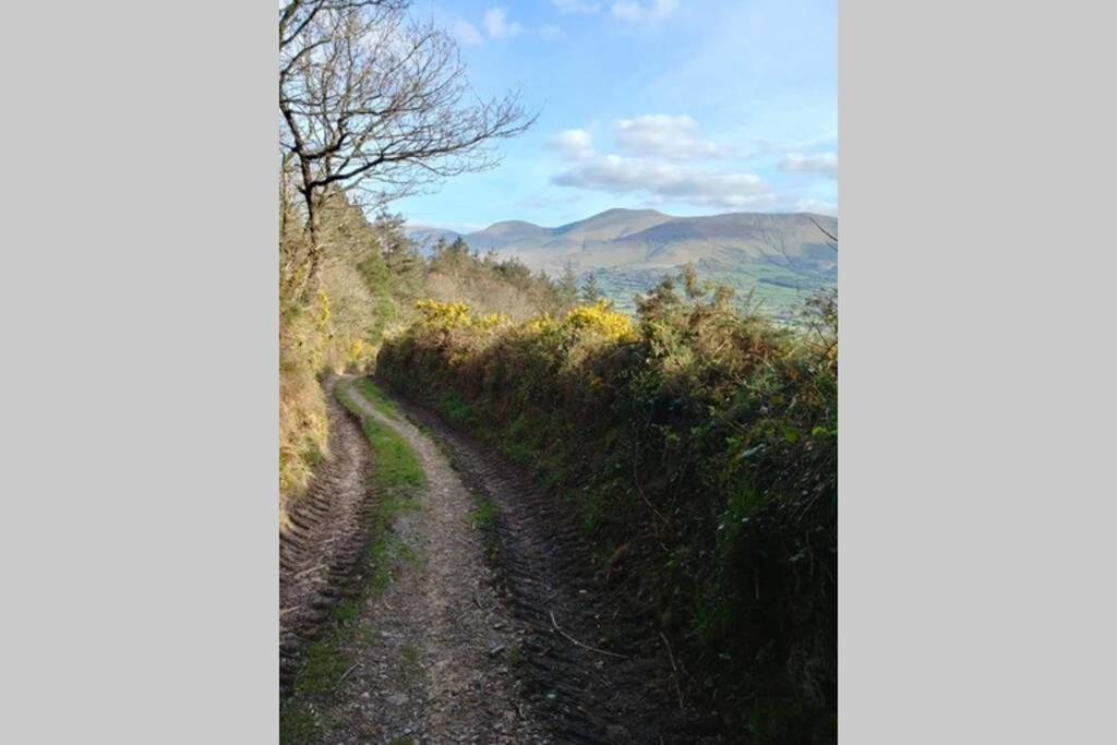 Corderry Farmhouse, Idyllic Cottage Amid 250 Acres Lisvernane 외부 사진