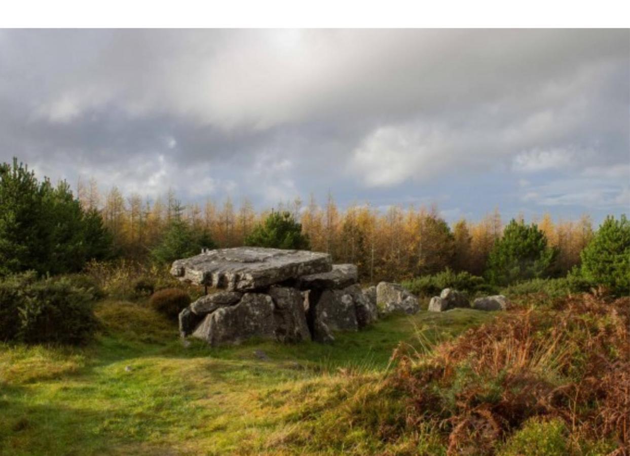 Corderry Farmhouse, Idyllic Cottage Amid 250 Acres Lisvernane 외부 사진
